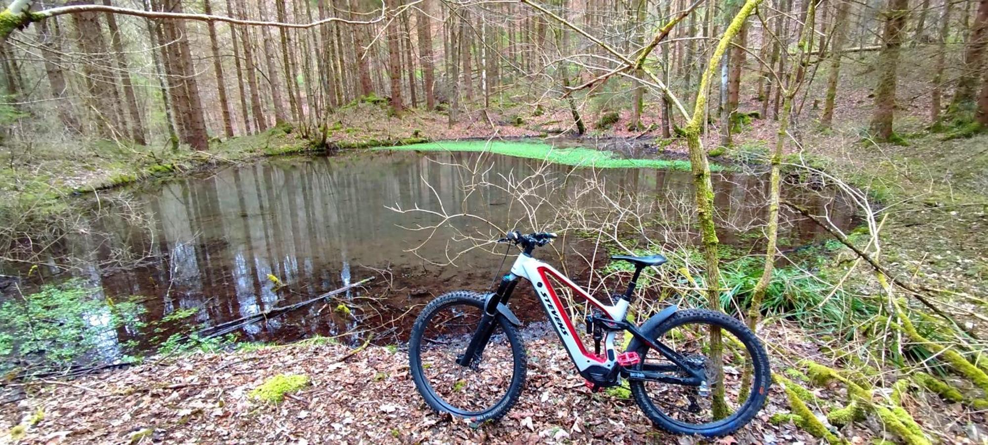Ferienwohnung Hecht - Biketrail Fun & Relaxing Wolfegg Εξωτερικό φωτογραφία