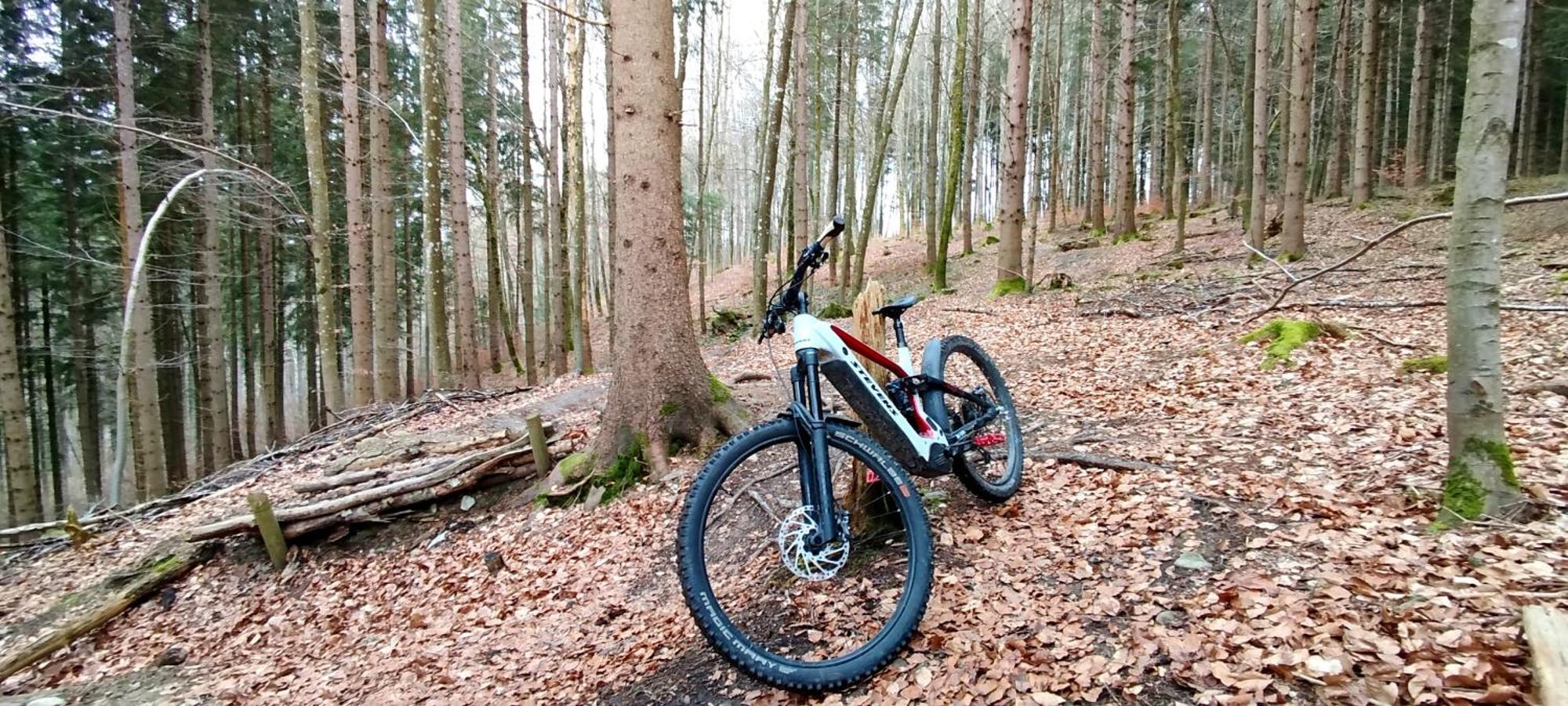 Ferienwohnung Hecht - Biketrail Fun & Relaxing Wolfegg Εξωτερικό φωτογραφία